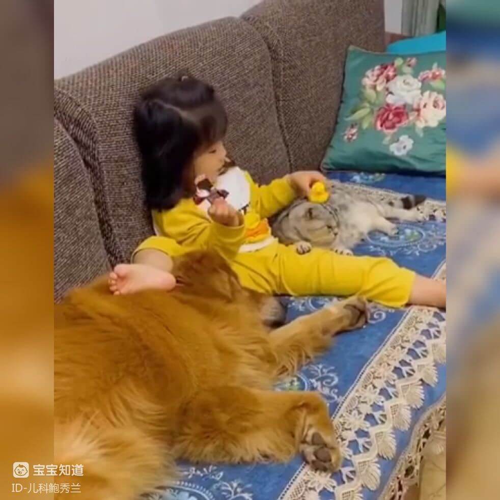 萌娃小小年紀過上了「貓狗雙全」的生活惹人羨,網友:確實太豪橫-3 萌娃小小年紀過上了「貓狗雙全」的生活惹人羨,網友:確實太豪橫-3