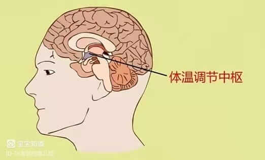 醫生，我家孩子發燒了，是不是因為積食？-3
