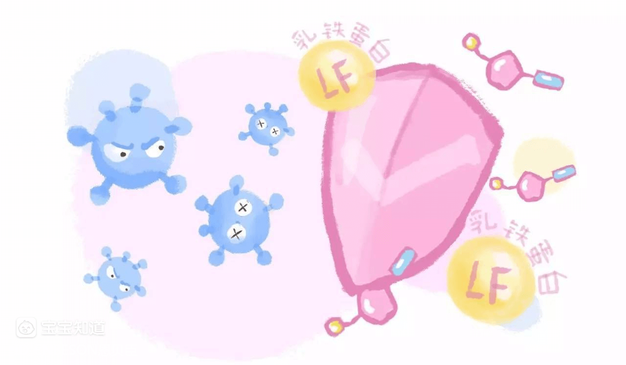 乳鐵蛋白這樣搭配 營養加倍!