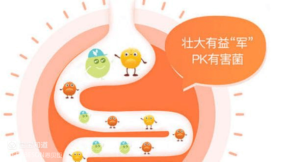 乳鐵蛋白這樣搭配 營養加倍！