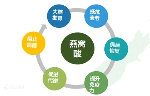 乳鐵蛋白這樣搭配 營養加倍！