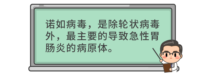 集體腹瀉？諾如、輪狀還是食物中毒？別盲目止瀉，預防脫水是正事