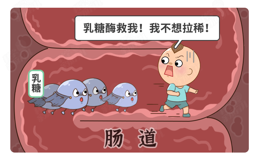 大頭娃娃」事件後續！牛奶過敏≠不耐受！嚴防「商家新坑」