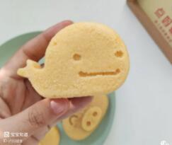 如何給寶寶在家自製輔食？ 有哪些經驗可以分享？-9
