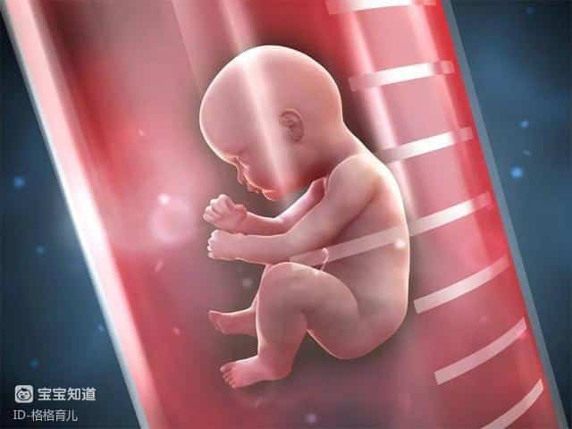 If your child is an IVF, relatives ask, would you tell the truth?-4 If your child is an IVF, relatives ask, would you tell the truth?-4
