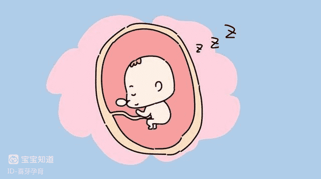 寶寶胎心率的那些事兒-2